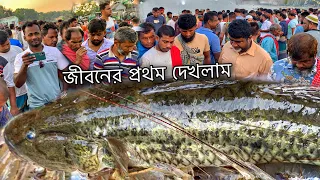 বিলুপ্ত প্রজাতির বিশাল সাইজের বেলে মাছ নিলামে বিক্রি করা হবে | fish market dhaka dohar meghula ghat