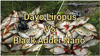 Красноперка гнёт спиннинг! Dayo Liropus 198 см. 0.2-0.8 гр. VS  Black Adder Nano 168 см. 0.5-1.0 гр.