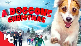 A Doggone Christmas | Full Christmas Movie | Hallmark