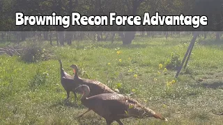 Deer Feeder #1: Browning Recon Force Advantage March 8-14, 2023