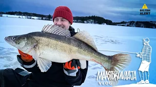 Ice fishing for zander and pikes (🇬🇧SUB)