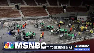 AZ Secretary of State: 'This Is Everything But An Audit' | MSNBC