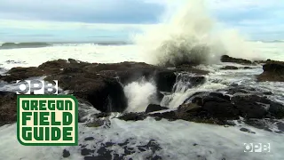 Oregon's Wonders: Spouting Horn and Thor's Well