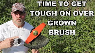 Putting A 10-inch Two Blade Brush Cutter To The Weed Trimming Test!