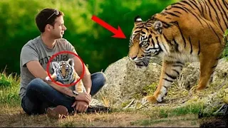 Crying Tigress Begged Man To Saved Her Cub, Then He Did Something Unthinkable...