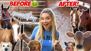 CLEANING ALL OF MY ANIMAL ENCLOSURES! | 40+ Pets!