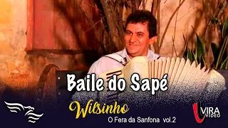 Baile do Sapé - WILSINHO - vol.2