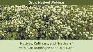 Grow Native! Webinar: Natives, Cultivars, and “Nativars”