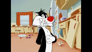 Looney Tunes - Sylvester Boomerang Bumper [4K]