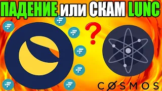 *СРОЧНО* Ожидаем ПАДЕНИЕ/СКАМ Terra Classic - Запуск Новой Сети LUNC?