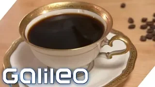 Wie viel Kaffee ist gesund? Das Selbstexperiment | Galileo | ProSieben