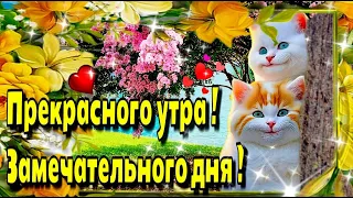 🥀🌞Доброе утречко хорошего дня!🌞Благословенного дня!🌼Красивое музыкальное пожелание доброго  утра🌞