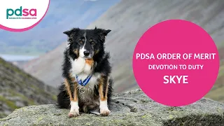 Retired Mountain Rescue Search Dog Skye is awarded the PDSA Order Of Merit