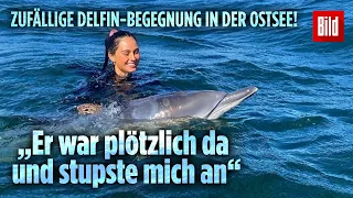 Delfin in der Ostsee: Thalia (24) trifft zutraulichen Delfin beim Schwimmen und spielt mit ihm!