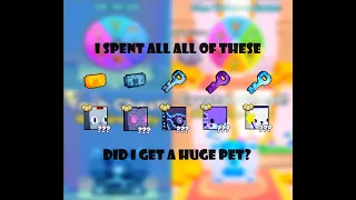 Pet Simulator 99 - I Used All my Keys and Spinny Wheel Tickets to Get...