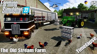 Buying Chickens 🐓 & Upgrading the Farm | The Old Stream Farm | Timelapse | FS22 | Episode 5