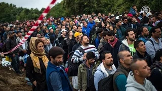 Через границу Венгрии продолжают бежать мигранты (новости)