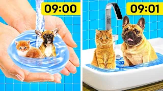 GENIUS HACKS FOR PET OWNERS || USEFUL GADGETS FOR PETS