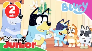 🐴 Bluey - Clip: Pferdchen spielen | Disney Junior