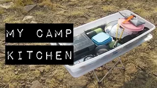 MY CAR CAMPING KITCHEN (Cheap Vandwelling/Overlanding Cooking Setup)