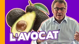 🥑L'Avocat : Aliment-Miracle ou Réserve de Graisses ? Jean-Michel Cohen