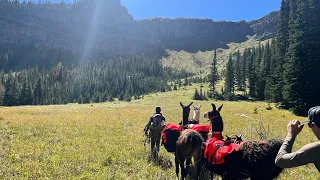 Bowhunting Grizz Country