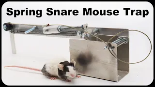 This New Spring Snare Mouse Trap Is Effective and Unique. Mousetrap Monday