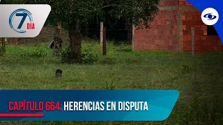 Peleas por herencias, una disputa familiar que puede terminar en tragedia - Séptimo Día