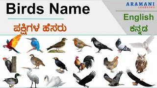Birds Name with Kannada Meaning | ಪಕ್ಷಿಗಳು | English to Kannada with Pronunciation