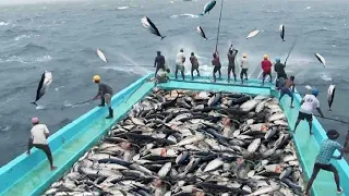 Setiap orang harus menonton Nelayan ini:Keterampilan Memancing & Pemrosesan Ikan Tercepat Luar Biasa