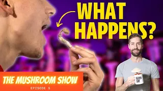 Do All Magic Mushrooms Have The Same Effect? (The Mushroom Show EP 5)