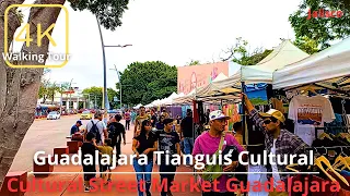 GUADALAJARA Tianguis Cultural Parque Revo­lución 4K | Jalisco 🇲🇽