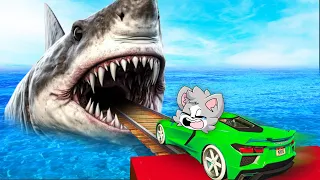 GTA 5: TIBURON vs SUPER AUTOS 🦈😱