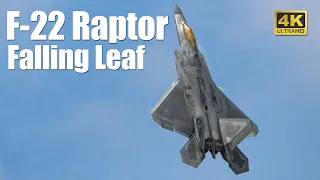 F-22 Raptor Falling Leaf at Air Tattoo