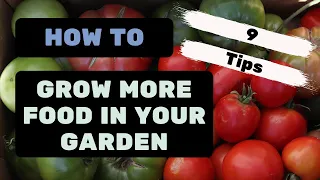 9 Tips for Growing more food in your garden