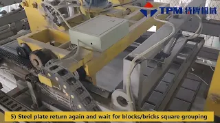 TPM dry blocks palletizer, TPM Offline dry blocks Cuber