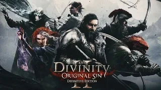 Divinity: Original Sin 2. Part 14 [Definitive Edition]