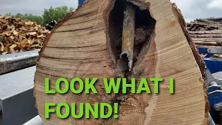 CUSTOM FIREWOOD PROCESSING AND I FOUND SOMETHING