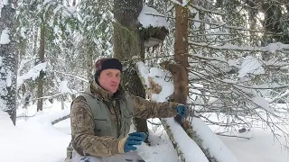 ТАЕЖНЫЙ ПРОМЫСЕЛ/РОЖДЕСТВЕНСКАЯ ПРОВЕРКА КАПКАНОВ/ДВА КОТА В КП-120