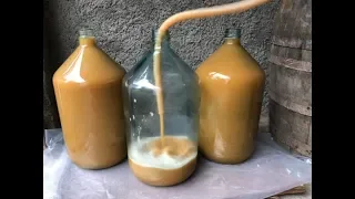 Wine making with oldest traditional method / Homemade Georgian Wine