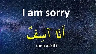 Learn Arabic while you Sleep (English - Arabic)