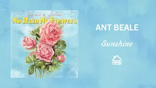 Ant Beale - Sunshine (Official Audio)