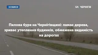 Пилова буря на Чернігівщині: ламає дерева, зриває утеплення будинків, обмежена видимість на дорогах