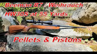 Beeman R7  / Weihrauch HW30S at 55 Yards