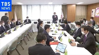 原発の建て替え・新増設を可能に 自民提言案まとめる