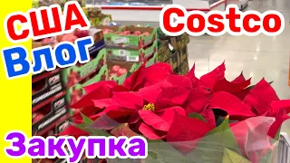 США Влог Закупка в COSTCO без жены Ничего лишнего Большая семья в США Big big family in the USA VLOG