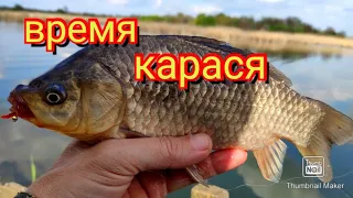 Мормышинг.Не зря сходил за подсаком.Карась на мормышку.