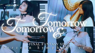 Tomorrow & Tomorrow // Final Fantasy XIV cover feat. Tsukino Crystal, Nicole Chang, Sleeping Penguin