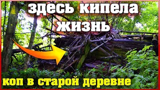 Коп 2021 | Искал СЕРЕБРО а Нашёл это! Необычные Находки в Старой Деревне. Коп монет 2021 в Беларуси