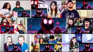 SPIDER-MAN: INTO THE SPIDER-VERSE - Official Teaser Trailer Reactions Mashup